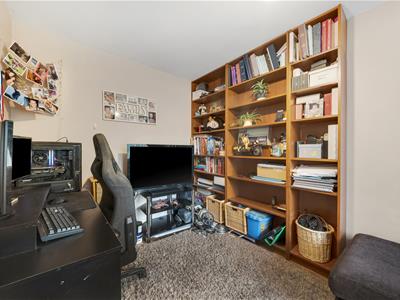Picture 13